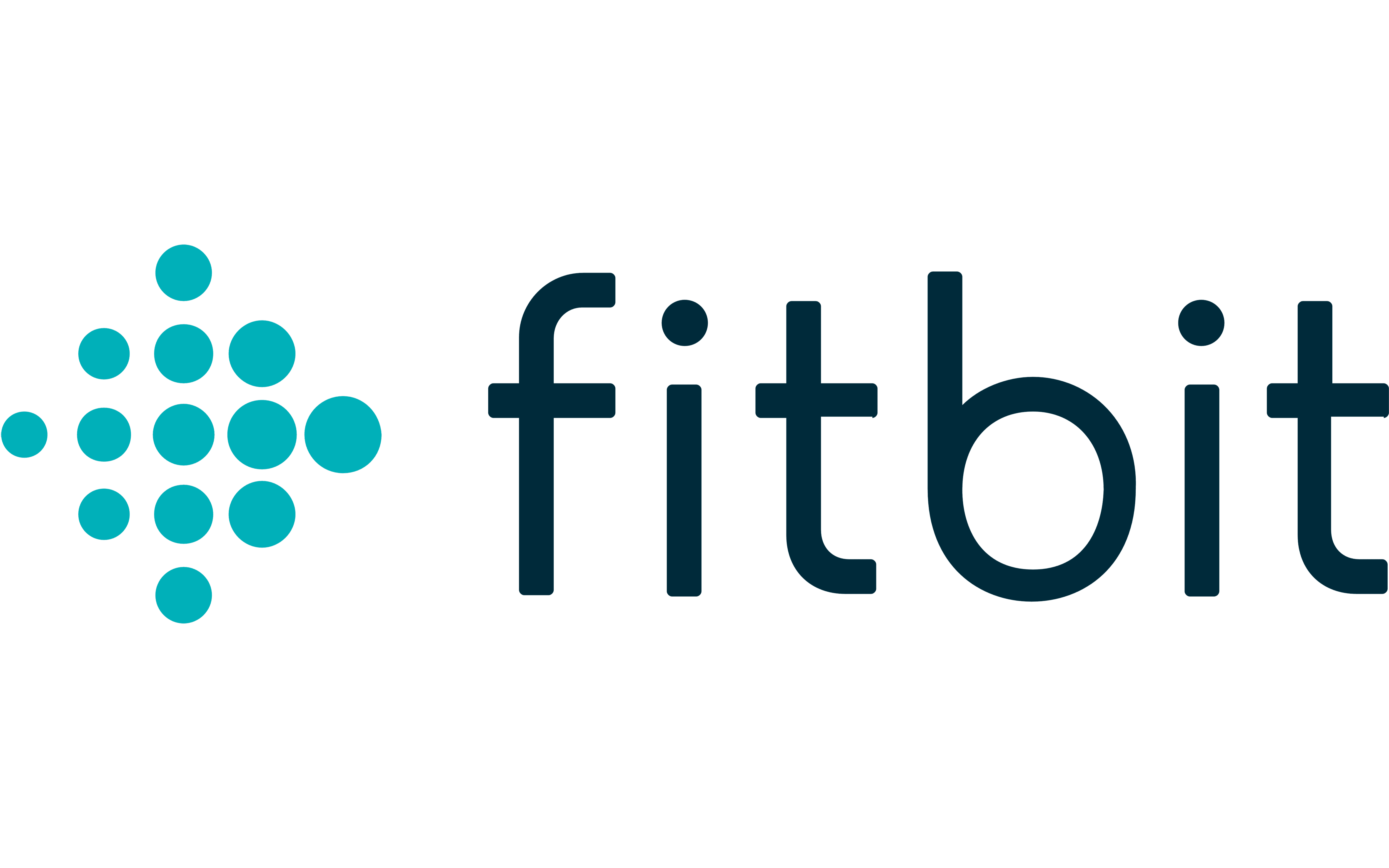 Fitbit logo